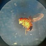 Borja García Pascual, by 'Pequeños mundos'