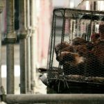 Lucía de las Mercedes Cárceles Grau, by 'Doble piel'