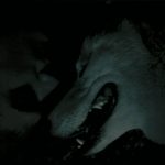 Laura Donges Moral, by 'Contrastes'