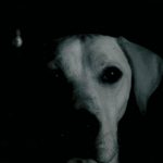 Laura Donges Moral, by 'Contrastes'