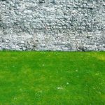 Camilo Tomás Cardona, by 'Dos tonos'