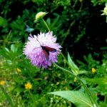 Laura Sánchez Salom, by 'Instantes inesperados'