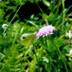 Laura Sánchez Salom, by 'Instantes inesperados'