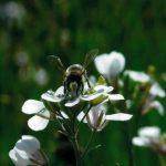 Mar Cubertorer Navarro, by 'Naixen primaveres'