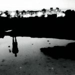 Reflejo - Cristina Bartual Murgui