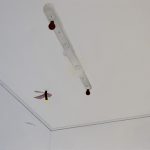 La soledad de la luciérnaga en el laboratorio de foto (estudio con forma) - Imma Riera