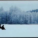 Cristina Concepción Gil - Domingo de pesca