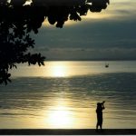 María del Carmen Fontestad-Fenollosa