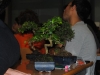 bonsai_09