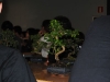 bonsai_10