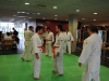 judo_2011_08
