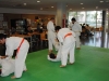judo_2011_13