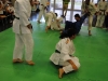 judo_2011_17